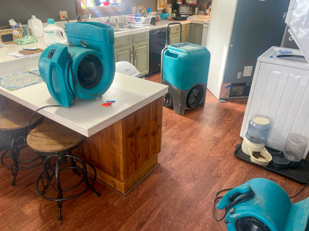 Best Mold removal after water damage  in Fairview, TX