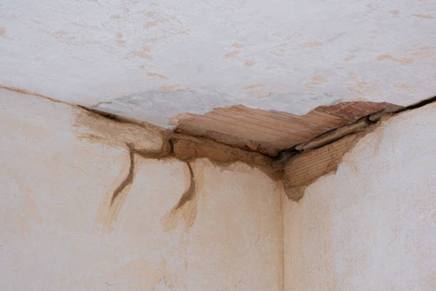 Best Water damage restoration specialists  in Fairview, TX