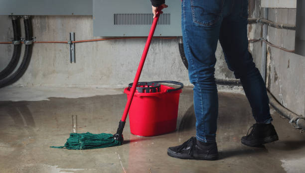 Best Carpet water damage restoration  in Fairview, TX