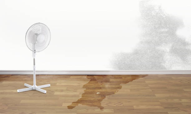 Best Flooded house restoration  in Fairview, TX