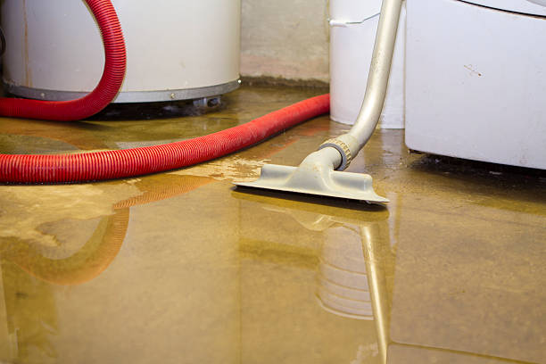 Best Water damage restoration near me  in Fairview, TX