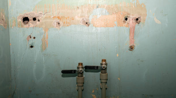 Best Carpet water damage restoration  in Fairview, TX