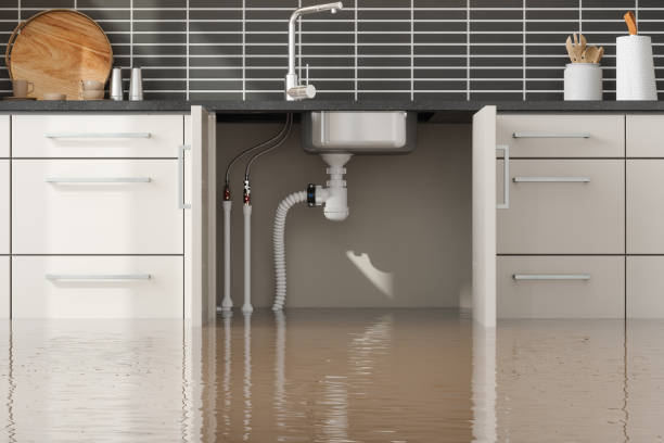 Best Flood damage cleanup  in Fairview, TX