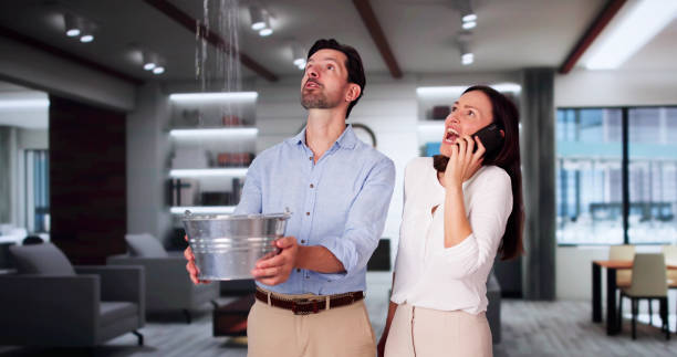 Best Flood restoration services  in Fairview, TX