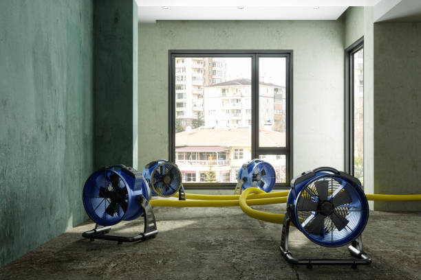 Best Sewage cleanup and water damage restoration  in Fairview, TX